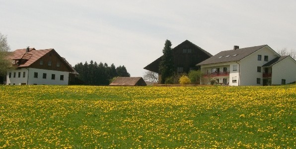 Betrieb Diem Ansicht von Wangen